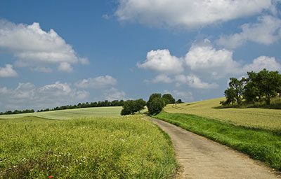 Landschaft